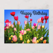 Happy Birthday Varia Tulips #3 Postkarte (Vorderseite)