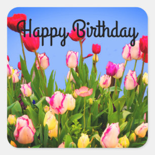 Happy Birthday Varia Tulips #3 Stickers