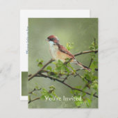 Happy Birthday Watercolor Whitethroat Bird Thema Einladung (Vorne/Hinten)