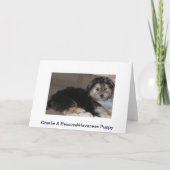 Happy Birthday Welppy Havanese Rescue Karte (Rückseite)