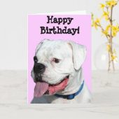 Happy Birthday White Boxer greeting card Karte (Gelbe Blume)