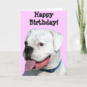 Happy Birthday White Boxer greeting card Karte