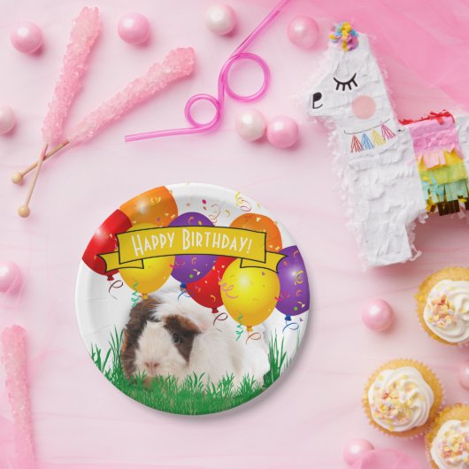 Happy Birthday White Guinea Schweinefilet Party Ba Pappteller (Party)