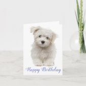 Happy Birthday White Maltese Welpe Hund Blau Karte (Vorderseite)