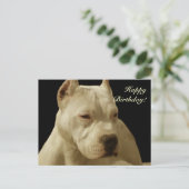 Happy Birthday White Pitbuls Postkarte (Stehend Vorderseite)