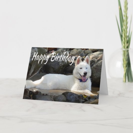 Happy Birthday White Siberian Husky Welpe Hund Karte (Vorderseite)