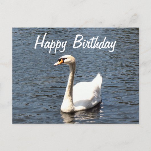 Happy Birthday white swan Postkarte (Vorderseite)
