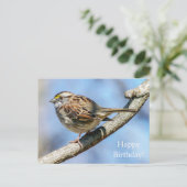 Happy Birthday White Throated Sparrow Postcard Postkarte (Stehend Vorderseite)