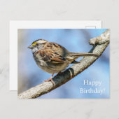Happy Birthday White Throated Sparrow Postcard Postkarte (Vorne/Hinten)