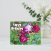 Happy Birthday Wild Blue Yonder Rose #1 Postkarte (Stehend Vorderseite)