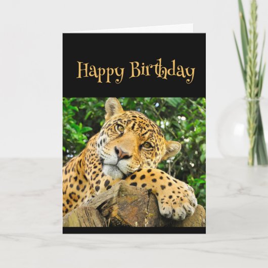 Happy Birthday Wild Thing Leopard Tiergenuss Karte (Vorderseite)