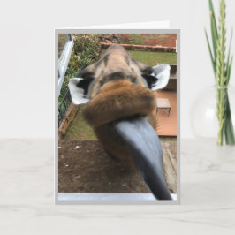 Happy Birthday Wildlife Kiss Feiertagskarte