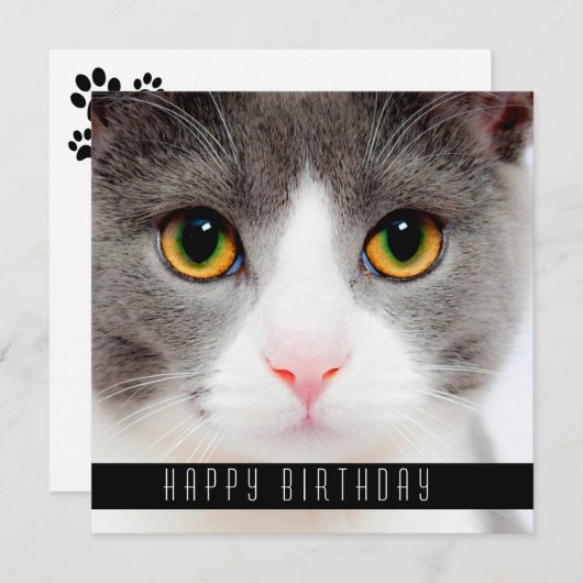 Happy Birthday wünscht Katzen Ankündigung (Vorne/Hinten)