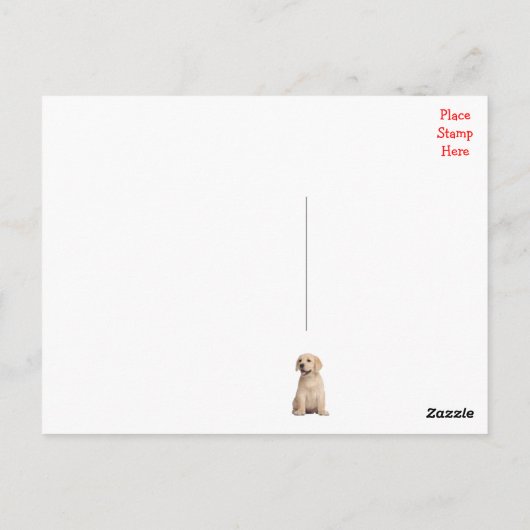 Happy Birthday Yellow Labrador Retriever Postcard Postkarte (Rückseite)