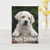 Happy Birthday Yellow Labrador Retriever Puppy Dog Karte (Gelbe Blume)