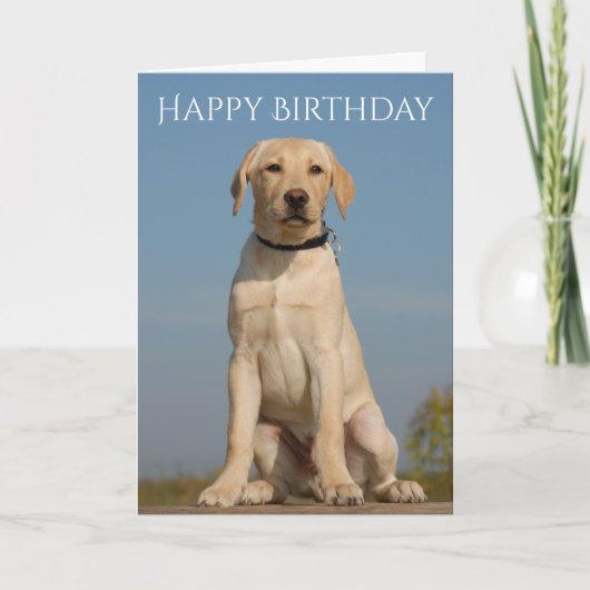 Happy Birthday Yellow Labrador Retriever Puppy Hun Karte (Vorderseite)