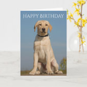 Happy Birthday Yellow Labrador Retriever Puppy Hun Karte (Gelbe Blume)
