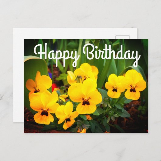 Happy Birthday Yellow Pansy #1 Postcard Postkarte (Vorne/Hinten)