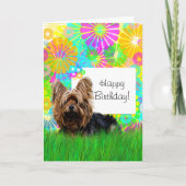 Happy Birthday Yorkie Hund Card Karte (Vorderseite)