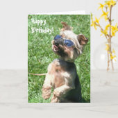 Happy Birthday Yorkshire Terrier Greeting card Karte (Gelbe Blume)