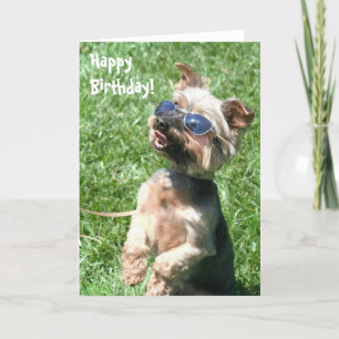 Happy Birthday Yorkshire Terrier Greeting card Karte