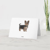 Happy Birthday Yorkshire Terrier Puppy Dog Karte (Rückseite)