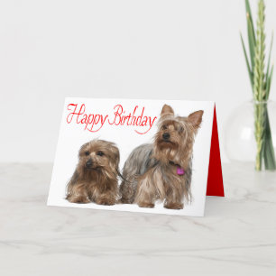 Happy Birthday Yorkshire Terrier Puppy Dog Red Karte