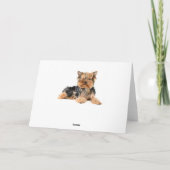 Happy Birthday Yorkshire Terrier Puppy Dog Red Karte (Rückseite)