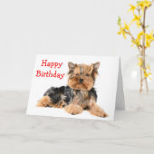 Happy Birthday Yorkshire Terrier Puppy Dog Red Karte (Gelbe Blume)
