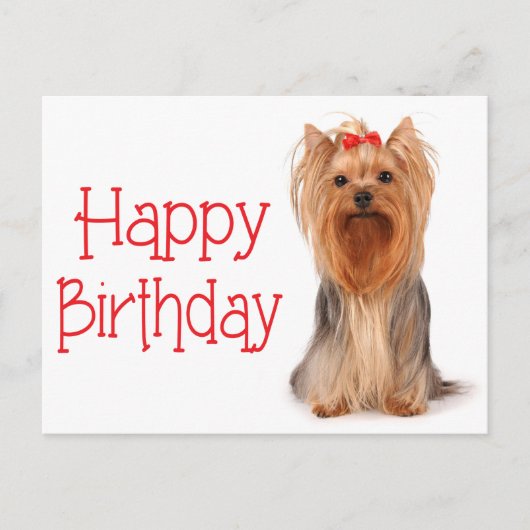 Happy Birthday Yorkshire Terrier Puppy Postcard Postkarte (Vorderseite)