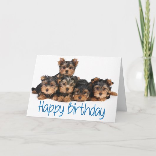 Happy Birthday Yorkshire Terrier Welpe Hund Blue Karte (Vorderseite)