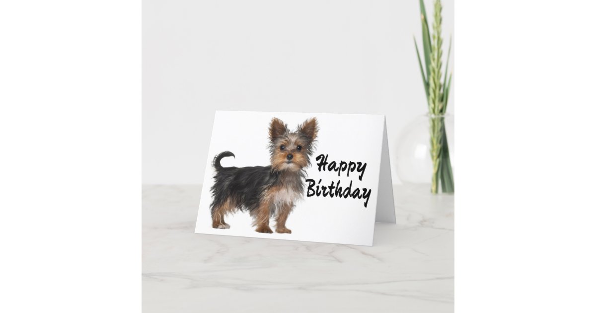 Happy Birthday Yorkshire Terrier Welpe Hund Karte Zazzle De