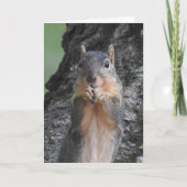 Happy Birthday You Big Nut Karte (Vorderseite)