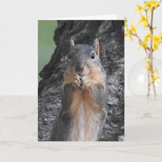 Happy Birthday You Big Nut Karte (Gelbe Blume)