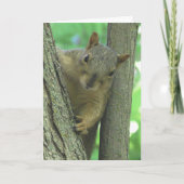 Happy Birthday You Nut Funny Squirrel Card Karte (Vorderseite)