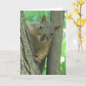 Happy Birthday You Nut Funny Squirrel Card Karte (Gelbe Blume)