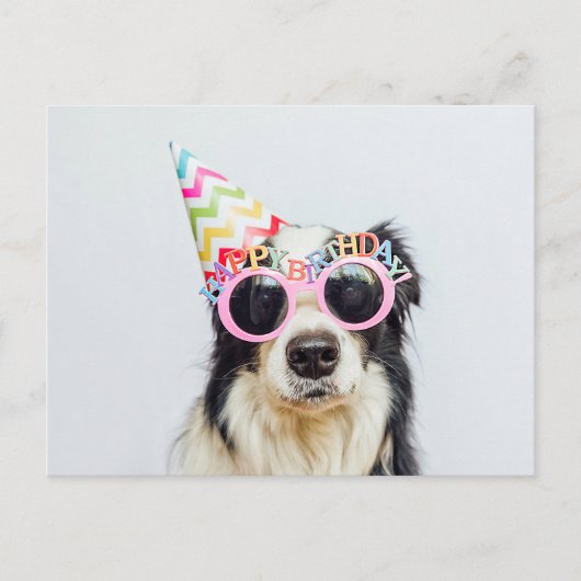 Happy Birthday You Party Animal Postkarte (Vorderseite)