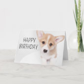 Happy Birthday | Young Corgi Puppy Karte (Vorderseite)