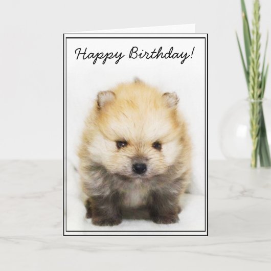 Happy Bithday Spitz Welpengrüßkarte Karte (Vorderseite)