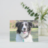 Happy Black and White Dog Closeup Postkarte (Stehend Vorderseite)