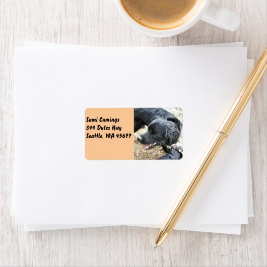 Happy Black Cocker Spaniel Adressaufkleber (Insitu)