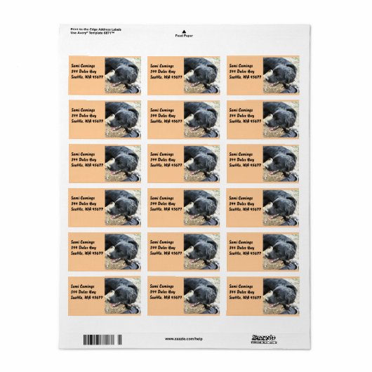 Happy Black Cocker Spaniel Adressaufkleber (Vorne)