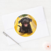 Happy Black Labrador Puppy Slides Down Yellow Slid Runder Aufkleber (Umschlag)