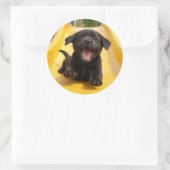 Happy Black Labrador Puppy Slides Down Yellow Slid Runder Aufkleber (Tasche)