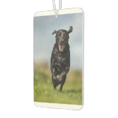 Happy Black Labrador Retriever Running Air Freshen Autolufterfrischer (Links)