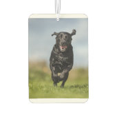 Happy Black Labrador Retriever Running Air Freshen Autolufterfrischer (Rückseite)