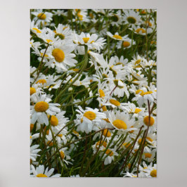 Happy Blume Meadow - Happy face lächelnd daisy Poster