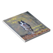 Happy Border Collie Hund laufen und spielen Notizblock (angewinkelt)