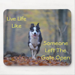 Happy Border Collie Hund läuft und spielt Mousepad