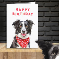 Happy Border Collie Red Heart Bandana Geburtstag